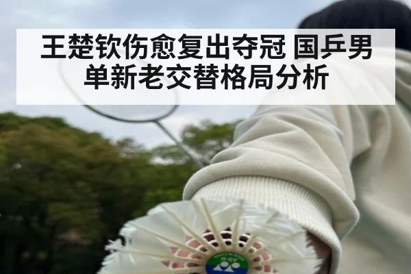 王楚钦伤愈复出夺冠 国乒男单新老交替格局分析